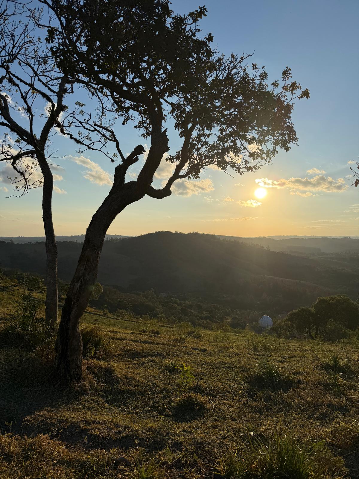 Paisagem da propriedade TTK9